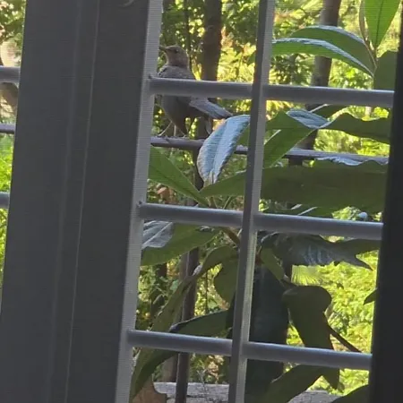 شقة Al Pozzo Di Garibaldi